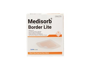 메디솝 보더라이트 (Medisorb Border Lite)