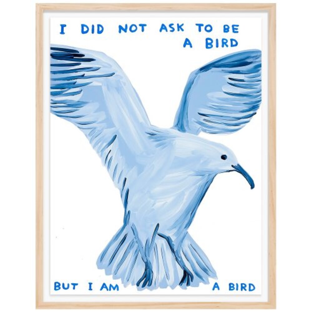 [액자포함] I Did Not Ask To Be a Bird?