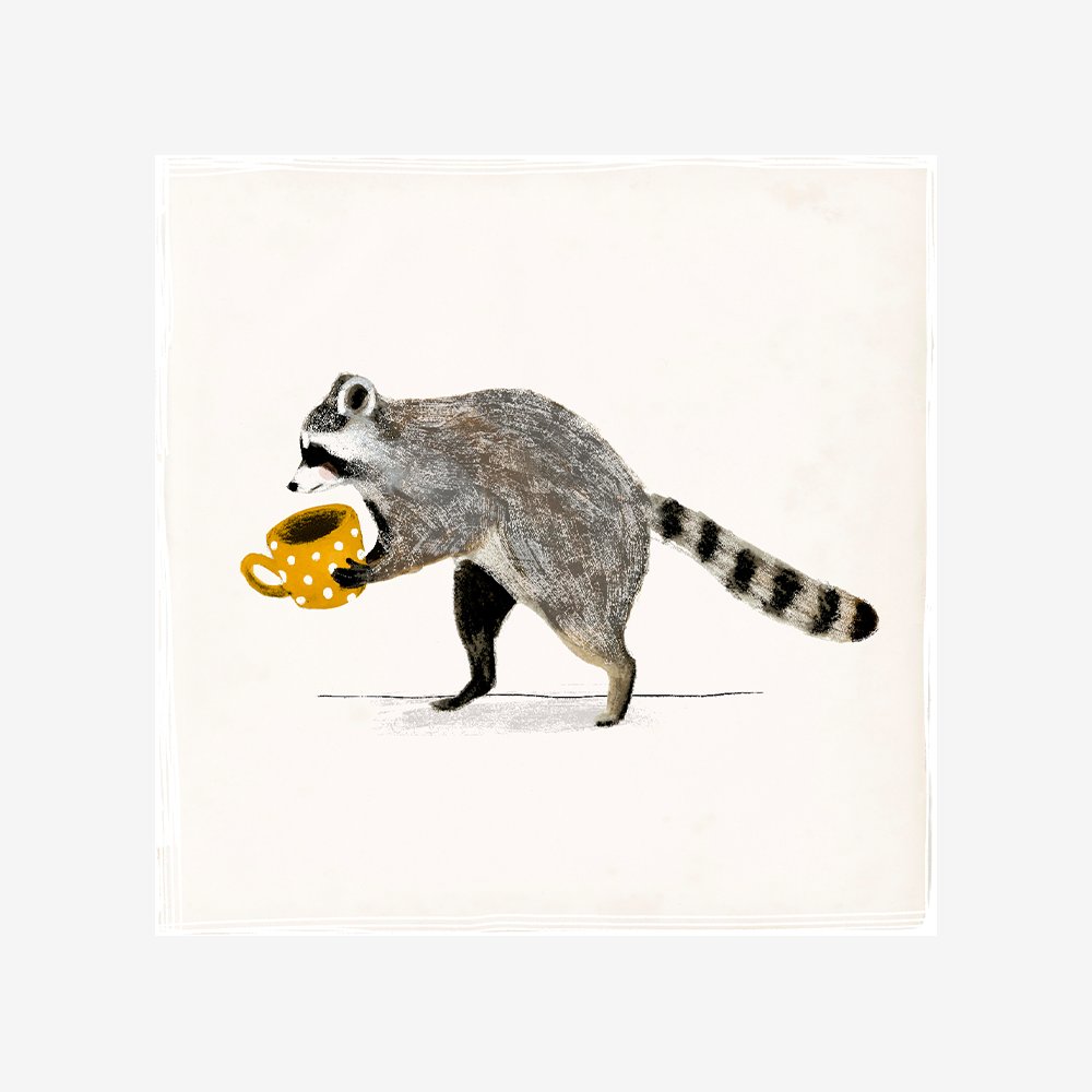 Rascally Raccoon III