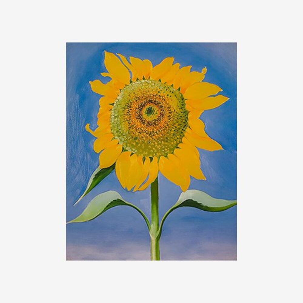 Sunflower, New Mexico, 1935