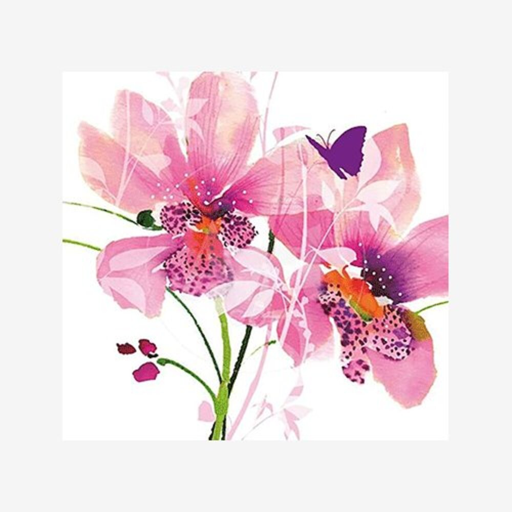 Orchid Blush