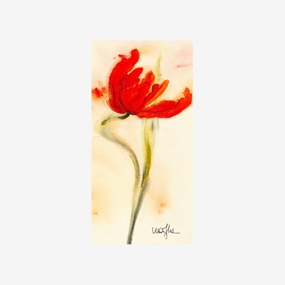 Tulipe I