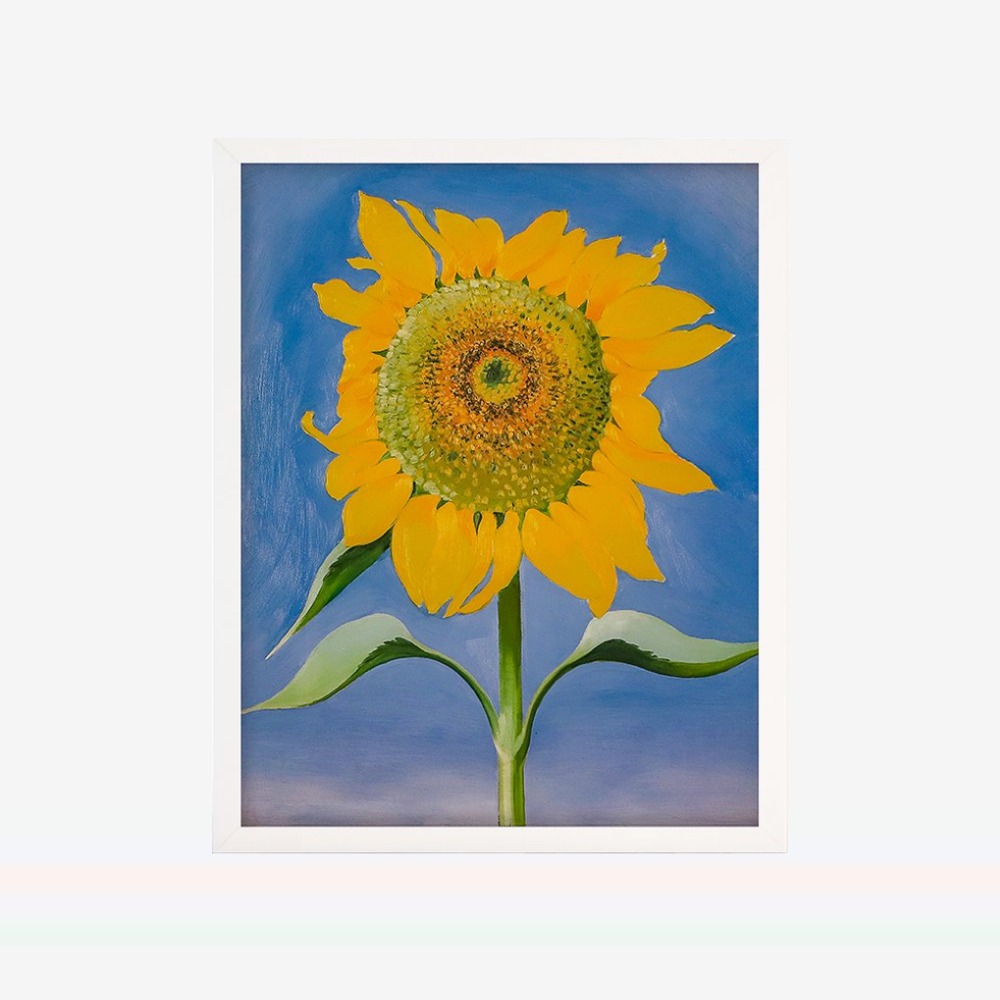 [액자포함] Sunflower, New Mexico, 1935