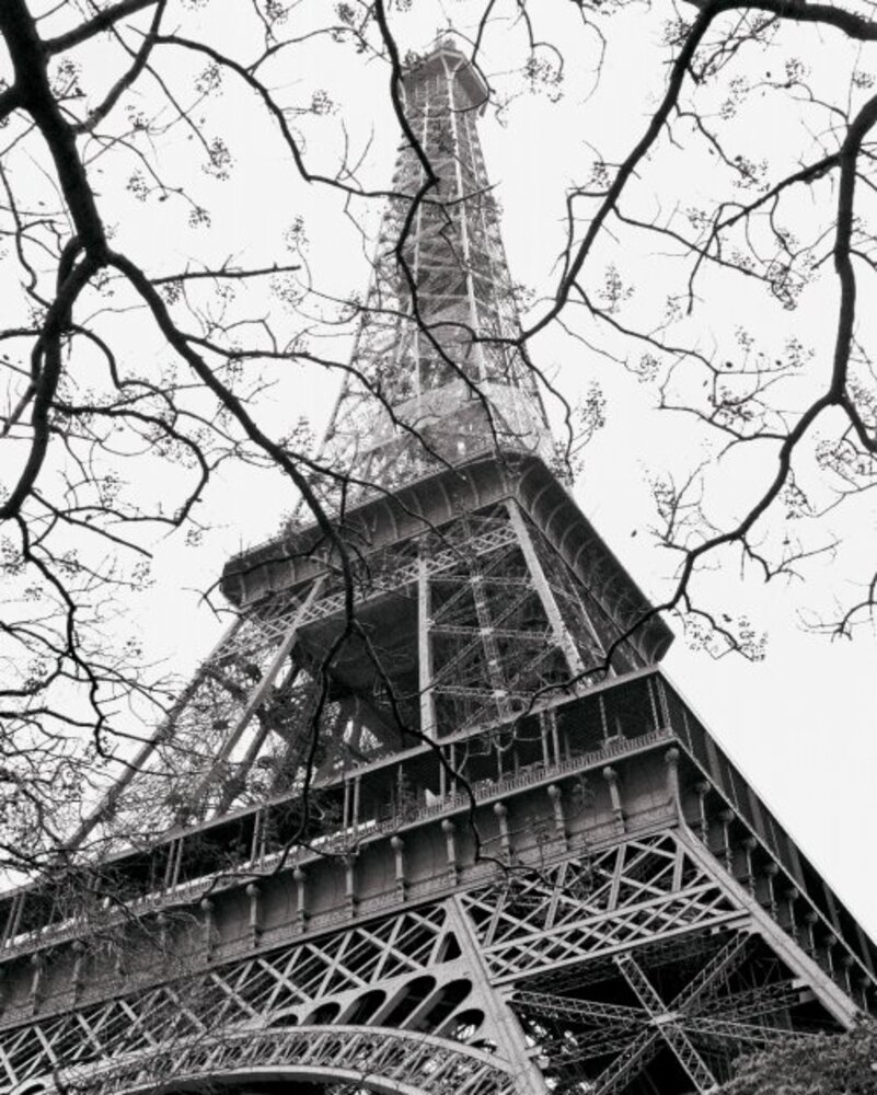 Spring-La Tour Eiffel