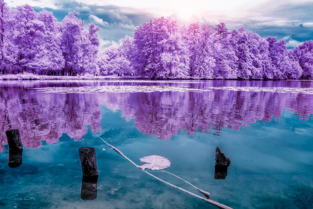 Majolan s Park Reflections I-Bordeaux - Infrared and UV photography