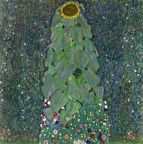 The Sunflower, 1907