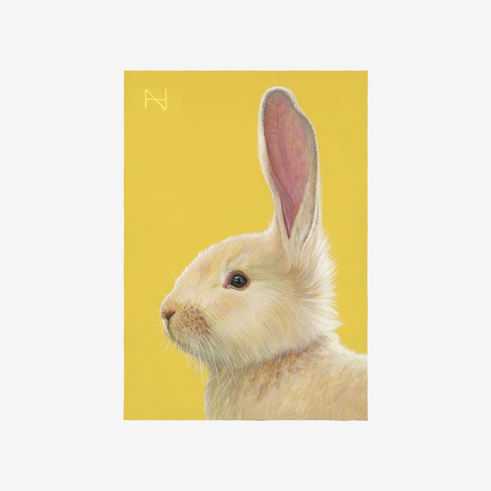 It is Spring_Rabbit(Yellow)