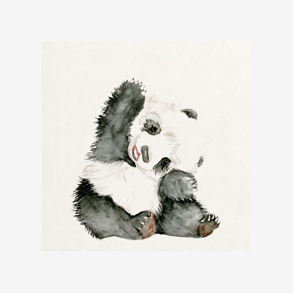 Baby Panda I