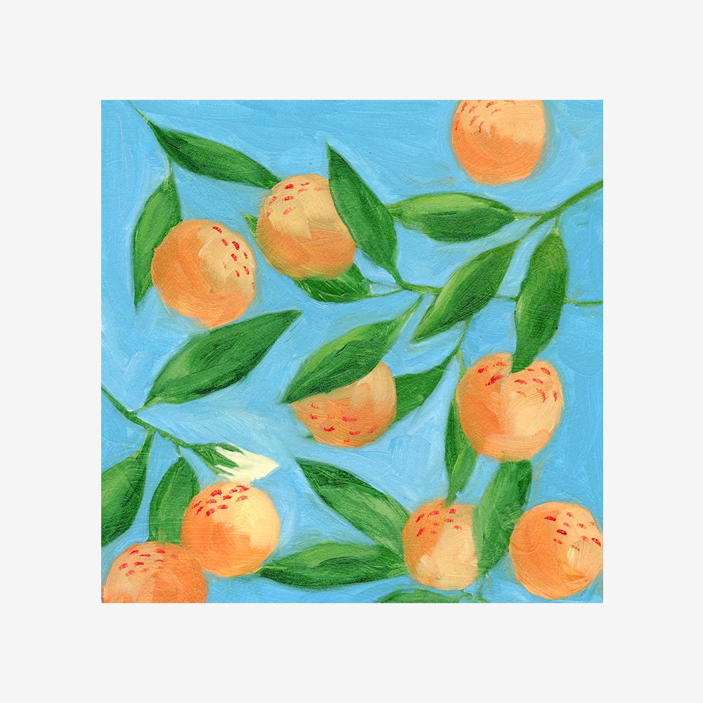 Sweet Tangerine II