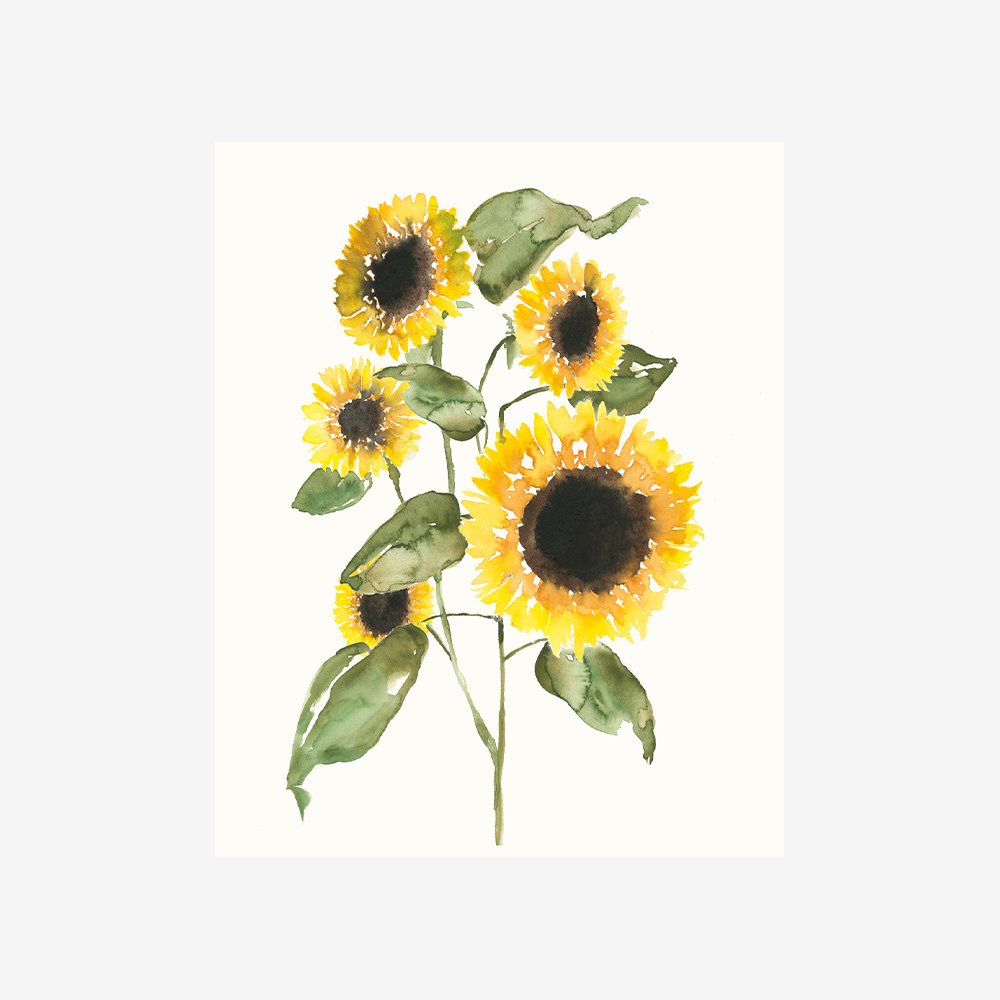 Sunflower Composition I
