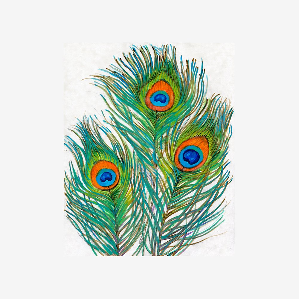 Vivid Peacock Feathers II