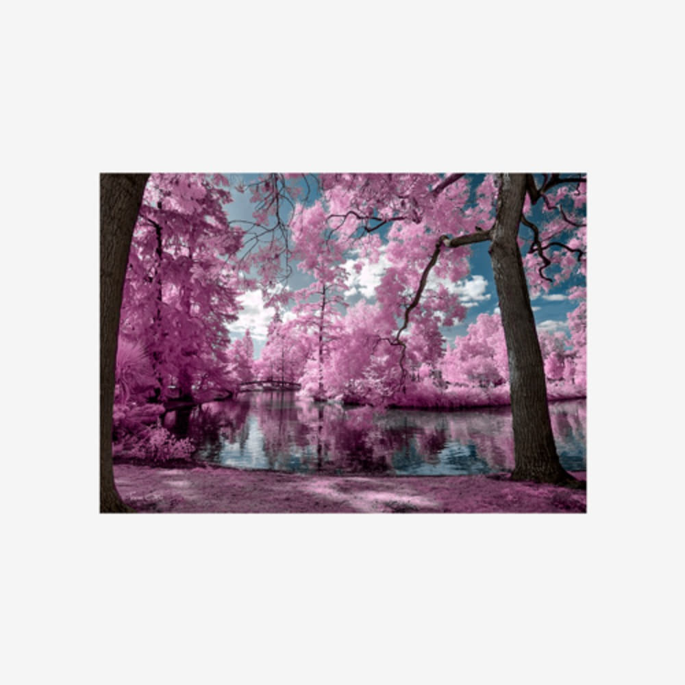 Bordeaux s Park - Infrared Photography