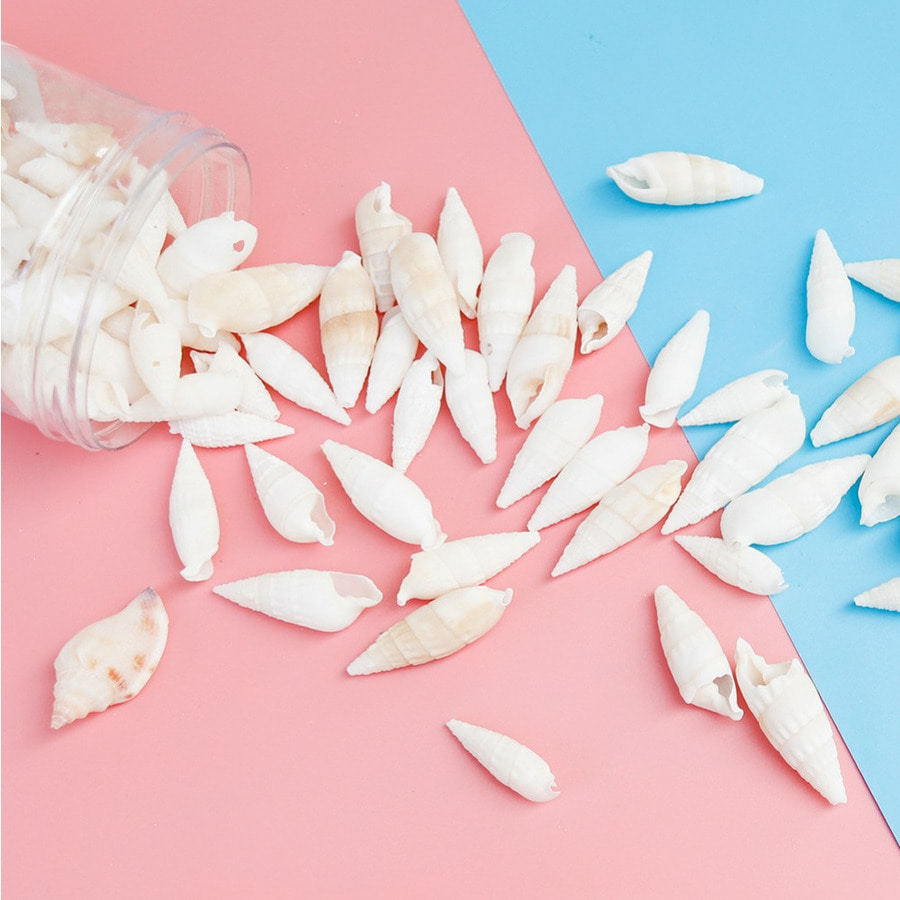 노리프렌즈 만들기재료 - 천연조개 백색긴소라 투명통포장 자연물 조개껍질