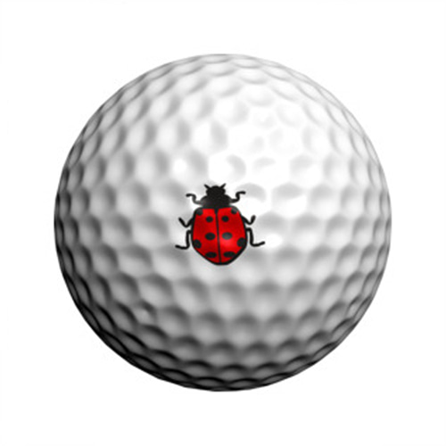 GP 개성만점 Ladybug 모델(색상랜덤) 골프 데코레이션 볼 스티커 필드용품