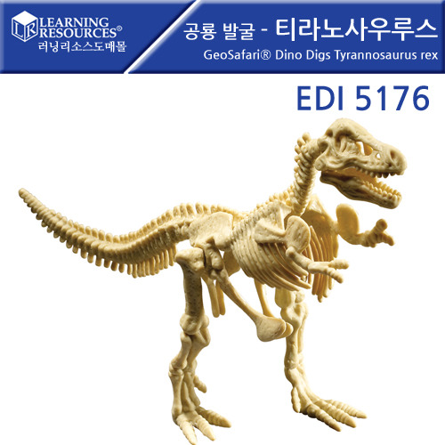 B2s 공룡발굴티라노사우루스(EDI5176)