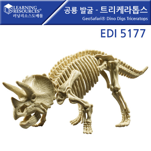 B2s 공룡발굴트리케라톱스(EDI5177)