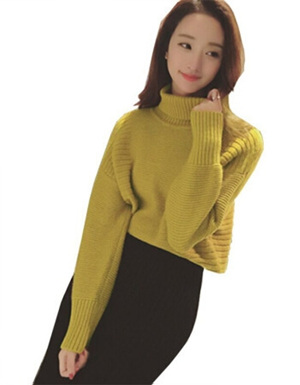 [해외] 하이 칼라 두꺼운 스웨터