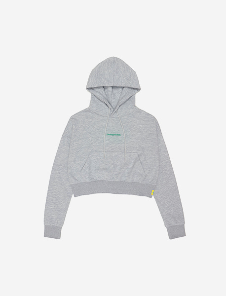 DGL CROP HOODIE - GREY brownbreath