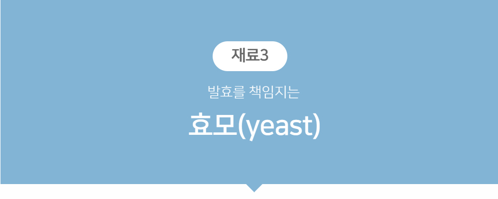 악세사리 -S9L3