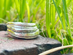 NATURE RING