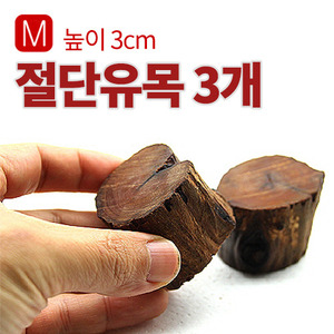 세틀 절단유목(M) (높이 약 3cm) 3개셋