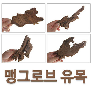 맹그로브 유목 &#039;소&#039; 3개 세트 (13~18CM)