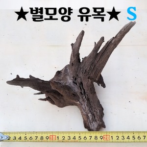 반짝반짝 별모양 유목 S사이즈(15~20cm내외)