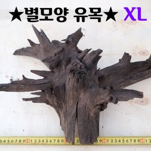 반짝반짝 별모양 유목 XL사이즈(45~50cm내외)