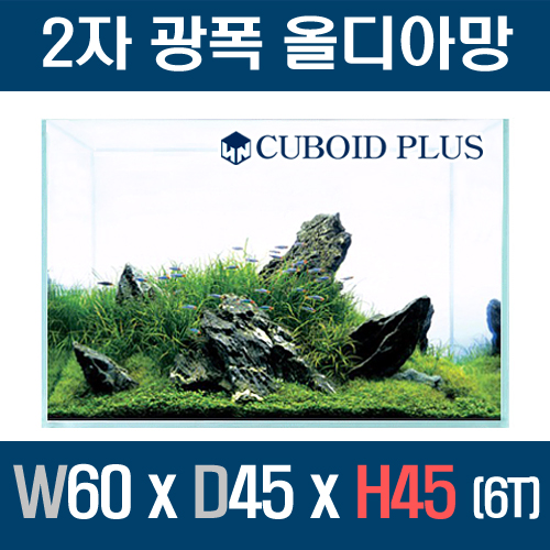 큐보이드 올디아망 플러스 60 x 45 x 45 (6T)