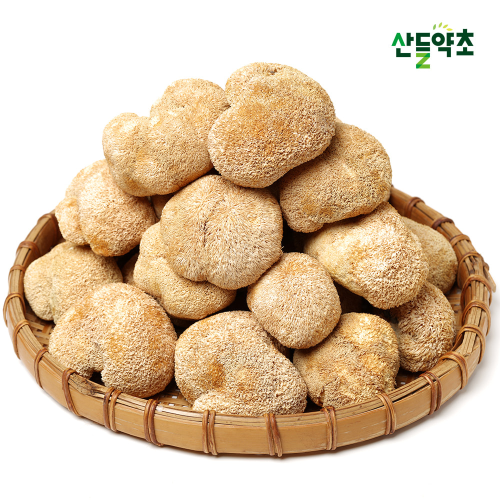 노루궁뎅이버섯 500g 중국산