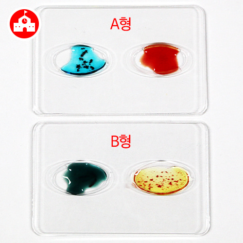 혈액형 판별 실험(5인 세트)
