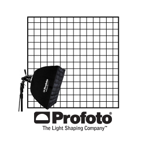 [PROFOTO] 프로포토(정품) Rectangular RFi Softgrid 4X6