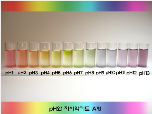 SSC pH와 지시약키트 A형