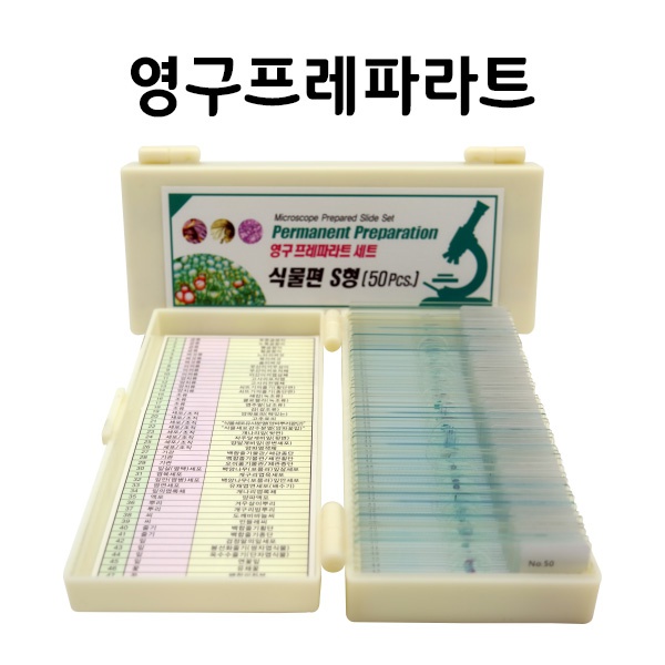 영구 프레파라트 식물편 S형(50pcs)