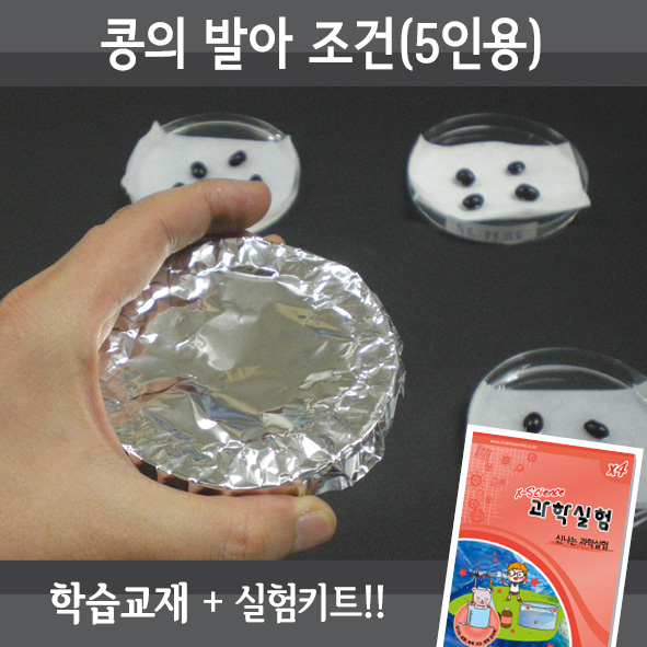 콩의발아조건(5인세트)