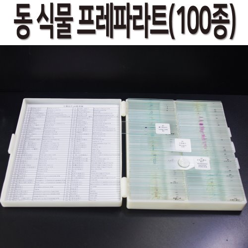 동 식물 프레파라트(100종)