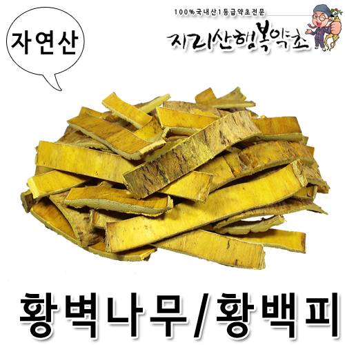 자연산 황벽나무/황백피 300g