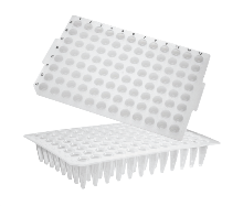 96-well PCR Microplates_ No Skirt, Flat Top (96 PCR 플레이트_AX.PCR-96-FLT-C) - 고려에이스 쇼핑몰