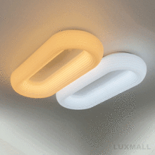LED 100W 라온 색변환 거실등 직부 660형