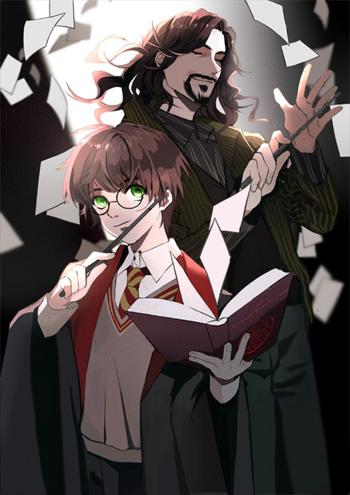[공인 위탁] 해리포터 포스터 Sirius Harry