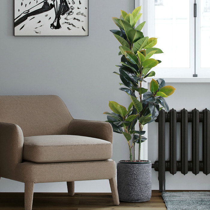 북유럽 모사 고무나무 룽나무 잎 대형 착지 그린식물 가나무 인테리어 패턴 거실 인테리어 소품