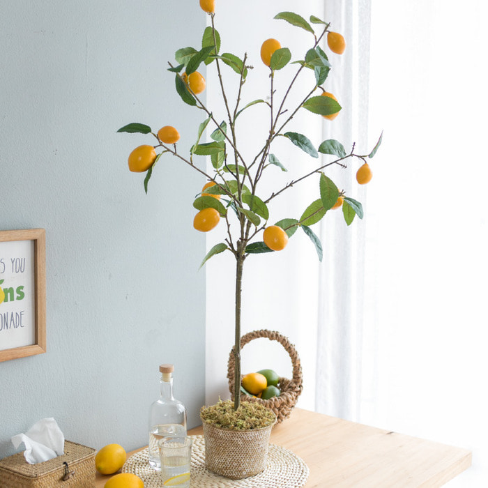 아영 시뮬레이션녹식분재 실내 가짜 레몬나무 ins 거실 인테리어 소품장식 북유럽 조화식물