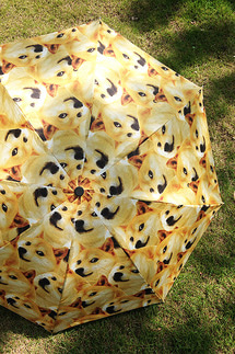 시바견 우산, 시바견 3단 우산, 시바견 양산