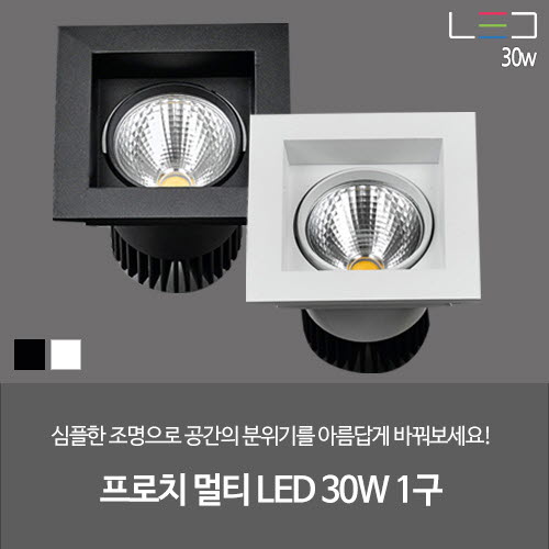 [LED 30W] 프로치 멀티 COB 1구 (흑색/백색)