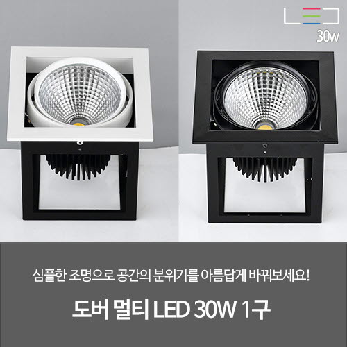 [LED 30W] 도버 멀티 COB 1구 (흑색/백색)