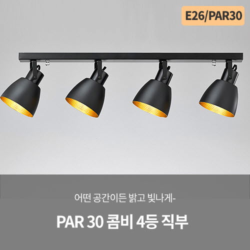 PAR 30 콤비 4등 직부