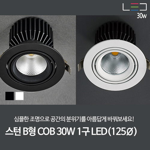 [LED 30W] 스턴 B형 COB 1구 (흑색/백색)