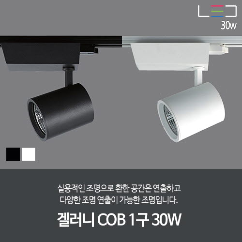 [LED 30W] 겔러니 COB 1구 (흑색/백색)