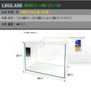 리그라스(LEGLASS) 와이드 F-450[전면디아망] / 택배불가 / 매장재고문의