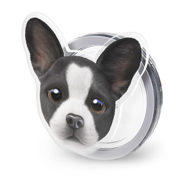 Franky the French Bulldog Face Acrylic Magnet Tok (for MagSafe)